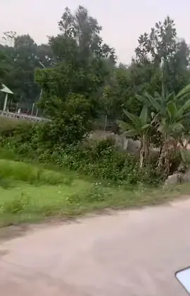 #contrauhanam con trâu khổ nhất lúc này 🤣