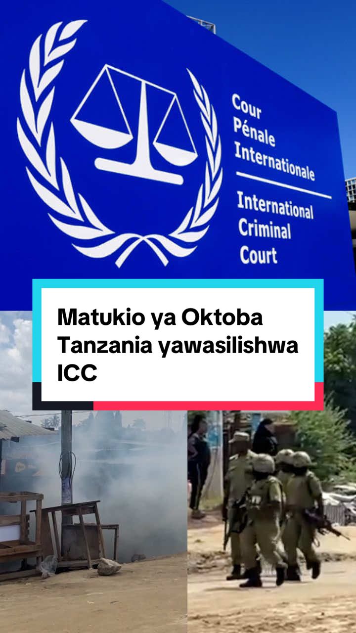Muungano wa kimataifa wa wanasheria na makundi ya haki za binadamu umeiomba rasmi Mahakama ya Kimataifa ya Jinai (ICC) kumchunguza rais wa Tanzania, na serikali yake kwa uhalifu dhidi ya ubinadamu unaodaiwa kufanywa wakati wa uchaguzi Mkuu wa hivi karibuni. Waraka wa Ombi kwa ICC linamtuhumu Rais Samia Suhulu Hassan na maafisa wengine wa ngazi za juu kwa kuhusishwa moja kwa moja na vifo vya raia wakati wa maandamano ya baada ya uchaguzi. Juma lililopita Rais wa Tanzania Samia Suluhu Hassan alizindua tume ya uchunguzi kuhusu vurugu hizo baada ya kuwatuhumu wapinzani na mashirika yasiyo ya kiserikali kwa kusababisha machafuko. - - #bbcswahili #maandamano #tanzaniatiktok #foryou #kenyantiktok 