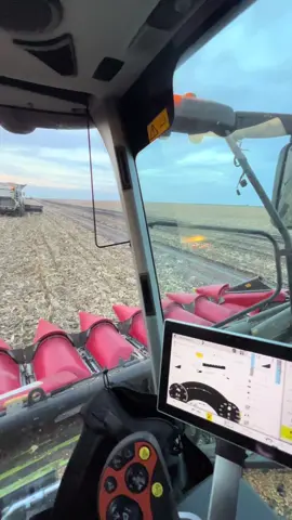 #жнива2025🇺🇦🇺🇦🇺🇦 #claaslexion7700 #житомирскаяобласть 