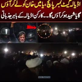 گیٹ نمبر 5 💪💪💪🚨🚨🚨#fyp #unfrezzmyaccount #imrankhan #pakhtoon #pti 