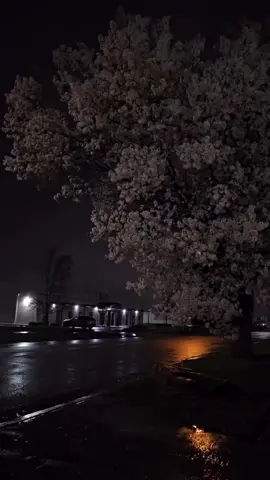 اللهُم صلِ على مُحمد والـِ مُحمد🤎. ـ ـ ـ #اللهم_صلي_على_نبينا_محمد  #اللهم_عجل_لولیک_الفرج َ َ . . . #foryoupage #viral #fyp 