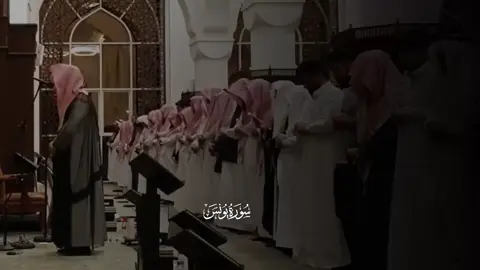 #عبدالله_الموسى #سورة_يونس #quran #fyp 