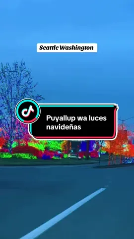 #lucesdenavidad#lugaresparavisitar#navidadenfamilia#fym 