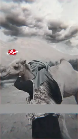 باتضل النماره بارزين المخالب ❤️‍🔥.  .  تصميمي بدون حقوق❗.  #اكسبلو #جبارتت١6📮  #تيم_خولانيين📮  #تصميم_فيديوهات🎶🎤🎬 #yyyyyyyyyyyyyyyyyy 