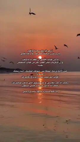 الله يرحمك برحمته ويجعل لقانا في الفردوس الأعلى🪻🕊️♾️ #اللهم_ارحم_ابي 