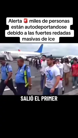 Alerta🚨🚨#parati #latinos #texas #usa🇺🇸 #fiiiiiiiiiiiiiiiiiiiiiiiiiiiiiiiiiiiiiip 