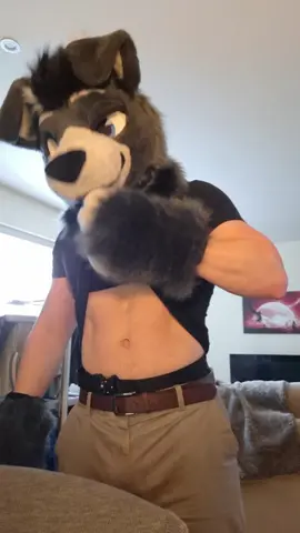 a bit about me #staffy #furrytiktok #furrymeme #gymfurry #furrycommunity 