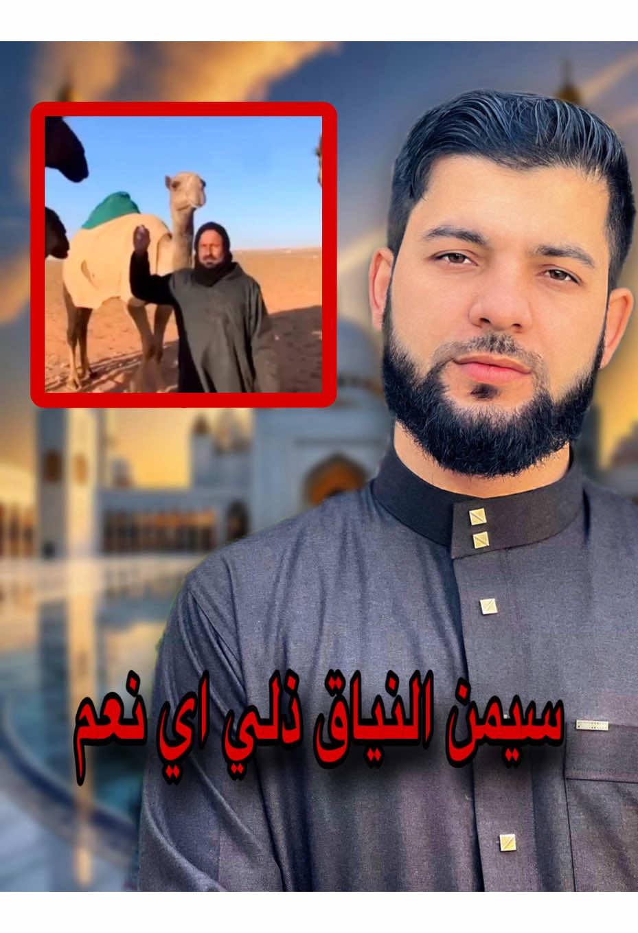 سيمن النياق ذلي اي نعم!!؟؟#محمدأبوالشيخ 