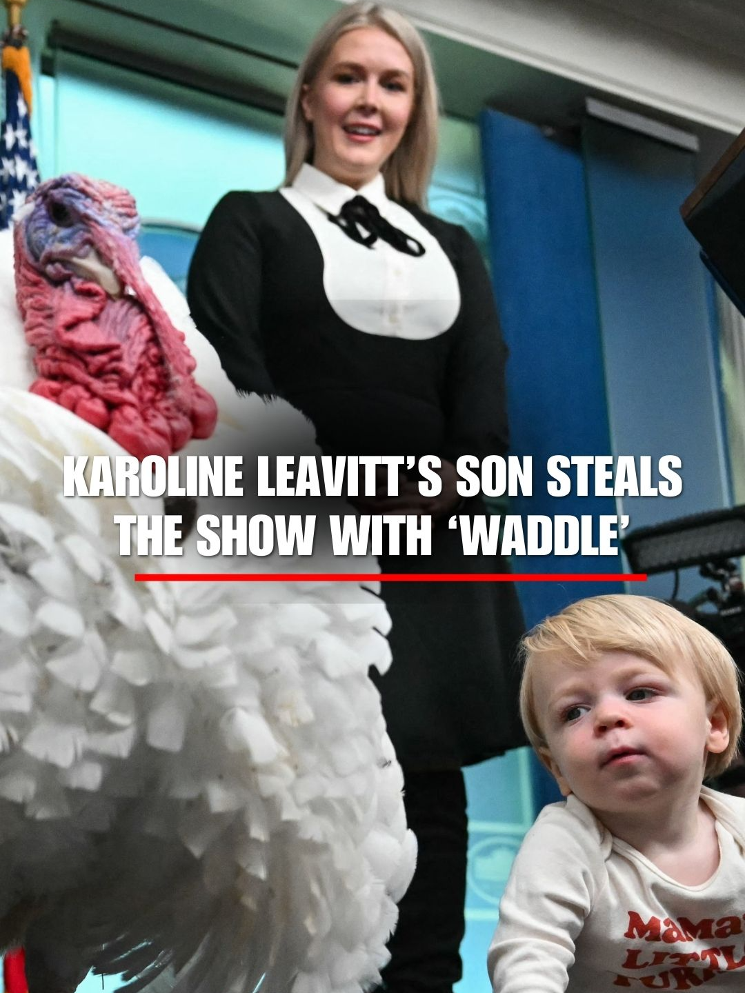 TURKEY TIME: Karoline Leavitt’s son steals the show — making an adorable appearance alongside one of the turkeys up for a presidential pardon, Waddle.