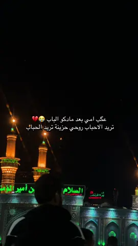 #ملة اسماء المشخاب #العتبة_الحسينية_المقدسة #العتبة_العباسية_المقدسة #حسينيون_الى_الابد ##العراق #كربلاء #ترند 