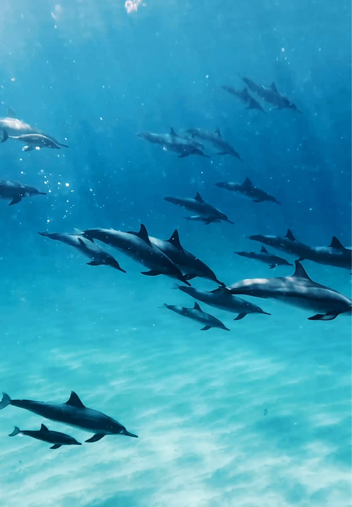 In anticipation of our island adventure, me and my buddies picked up a fun little beat up board on FB marketplace and made an art project out of it…….and a functional one at that.  Little TLC and she should serve us well in the water. 🤙🏽🤙🏽