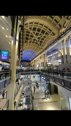 #visionglobal #networkmarketing #trading #trading #paratii 