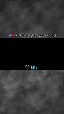 #ستوريات_انستا #كردية🖇 