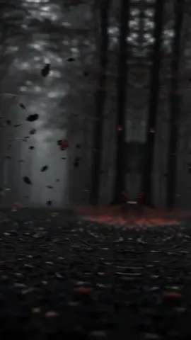 tm sa piyar krty han🥰🥰🥰🥰🥰🥰#foryou #foryoupage #viral #viralvideo #songs 