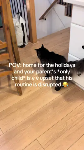 I was told it’s because I’m “sleeping in HIS room” 🤡 #homefortheholidays 