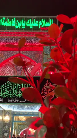 #عظم_الله_اجورنا_واجوركم_بهذا_المصاب #يافاطمه_الزهراء_دخيلج_فرحي_كلب_كل_مهموم 