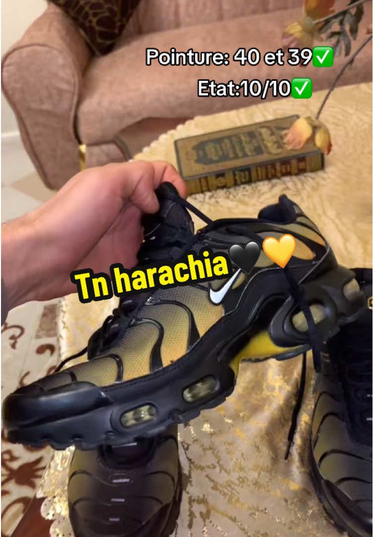 Tn harachia💛🖤 etat:10/10✅ pointure 39 et 40✅ مرحبا بكم #setif #eleulma_49 #lacoste_wlarini🐊🐊❤️❤️ #3ababisa #tn 