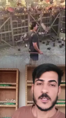 #اعادة_النشر🔃 #اكسبلورexplore❥🕊🦋💚❤ 