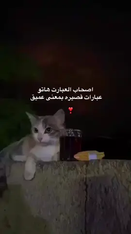 مايصير خاطرك إلا طيب  ❣️🫶🏻#pyfツ #pyf #pyp 