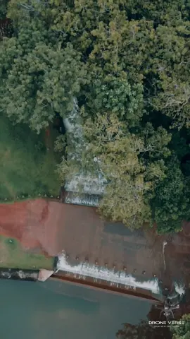 වැස්ස වැටී ගම ලස්සන කරන උයන්වත්ත 🍃☔️🌧️ #srilankan_tik_tok🇱🇰 #fypシ゚ #naturesrilanka🍃🇱🇰 #බන්ඩාරගම_අපි#raniday 