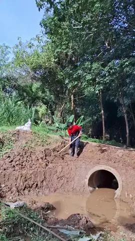 #กฏแห่งธรรมยุติธรรมเสมอ #ทำทรง #ฟีดดดシ #โครงการส่วนบุคคลประโยช์ส่วนรวม แรงบันดาลใจในการขุดของผมนี้คือมดคับ ใช่คับมด🐜ถึงเป็นมดเพียงตัวเดียวที่เหลืออยู่ในรังก็ตามก็ยังคงพยายามเริ่มสร้างอนาจักเล็กๆของเราขึ้นมาใหม่ #และมาดูกันว่าทำไมถึงบอกว่าของเรา