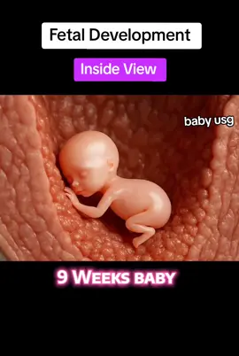 Fetal Development Process #fetaldevelopment #fetalgrowth #babydevelopment #viraltiktok #viralvideo 