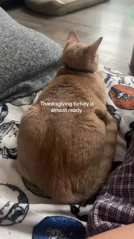 needs a few more preparation steps 