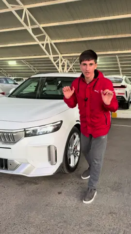 Voyah Free Paket alynan