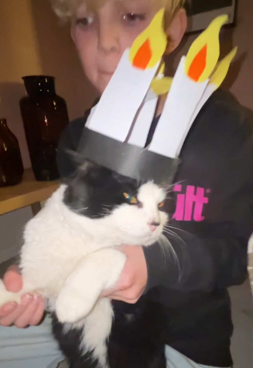 LUSSE-katt🐱🕯️#lussekat #kissekatt #lucia #67 