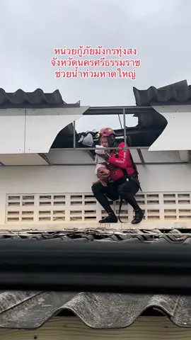 ค่ำคืนนี้ขอพักแรงไว้แค่นี้ก่อนน่ะคับ พรุ่งนี้ลุยต่อหาดใหญ่ท่วมหนักจริง #หน่วยกู้ภัยมังกรทุ่งสง 