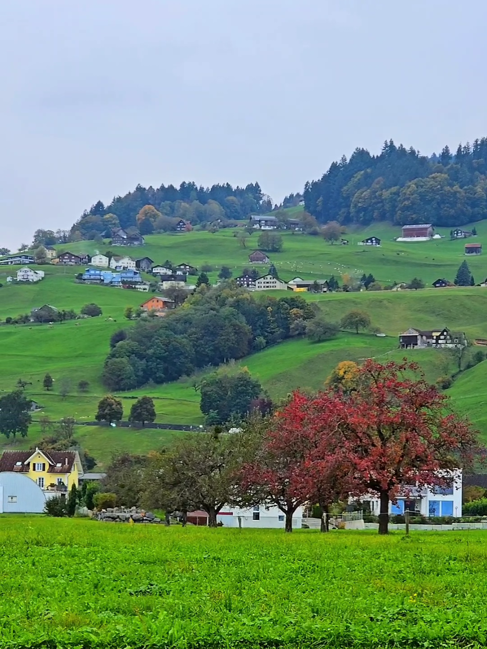 #switzerland 📍🇨🇭🏡🌳⛰️#nature #foryou #fyp #reisen 