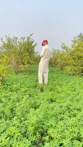 Nee ma notta nall#fypシ゚viral🖤tiktok☆♡🦋myvideo❤️❤️🥰🥰🥰#unfreezemyacount🥺💔🥀🙏#unfreezemyacount🥺💔🥀🙏 