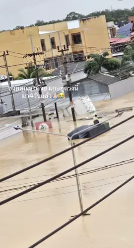 ถ่ายมาจากกล้องของพี่สาวที่ติดอยู่ภายในหอ ใครก็ได้ช่วยคุณลุงด้วยแกอยู่ตรงนี้มาสี่วันแล้ว 🆘🥹  พิกัด: ถ.สัจจกุล ก่อนถึงสะพานสัจจกุล 🙏🏻🥺 #น้ำท่วมหาดใหญ่ #hatyaithailand🇹🇭 