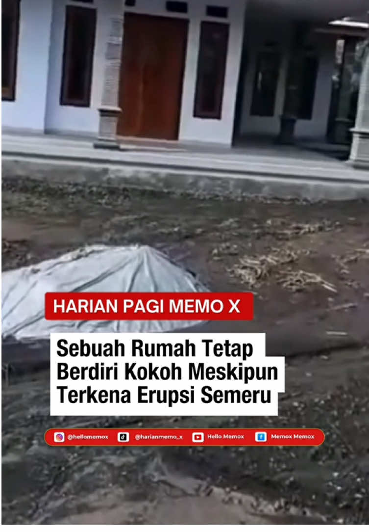 Sebuah video viral menunjukkan sebuah rumah di Lumajang, Jawa Timur, yang luar biasa tetap berdiri kokoh, meskipun lingkungan di sekitarnya luluh lantak akibat erupsi Gunung Semeru. Dalam rekaman, rumah itu tampak satu-satunya bangunan yang tidak tertimbun material vulkanik, sementara rumah-rumah warga lain hancur atau rusak parah. Sementara itu, ratusan jiwa pengungsi Semeru masih bertahan di posko pengungsian. Berdasarkan data BPBD Lumajang, 645 orang tersebar di beberapa titik pengungsian, termasuk di SDN Supiturang dan SMPN 2 Pronojiwo, setelah aktivitas Semeru memaksa warga meninggalkan rumah mereka. Beberapa pengungsi mengaku mulai mengalami masalah kesehatan — dari pusing hingga mual — akibat paparan abu vulkanik yang semakin tebal.  Pemerintah Kabupaten Lumajang pun terus melakukan pemetaan ulang data pengungsi untuk memastikan bantuan logistik tepat sasaran. BPBD menekankan pentingnya validasi data agar kebutuhan dasar pengungsi, seperti makanan dan stok dapur umum, bisa dikelola dengan lebih efisien. . . 𝗢𝗳𝗳𝗶𝗰𝗶𝗮𝗹 𝗔𝗰𝗰𝗼𝘂𝗻𝘁 Harian Pagi Memo X : Instagram : @hellomemo_x TikTok : @harianmemox Youtube : hello memo X  Email : redaksi.memo.x@gmail.com . . #ErupsiSemeru #SemeruToday #Lumajang #ViralIndonesia #BencanaAlam #GunungMeletus #RumahAjaib #SemeruUpdate #EvakuasiWarga #PengungsiSemeru #Pronojiwo #InfoJatim #IndonesiaTanggapBencana #FYP #BeritaViral 