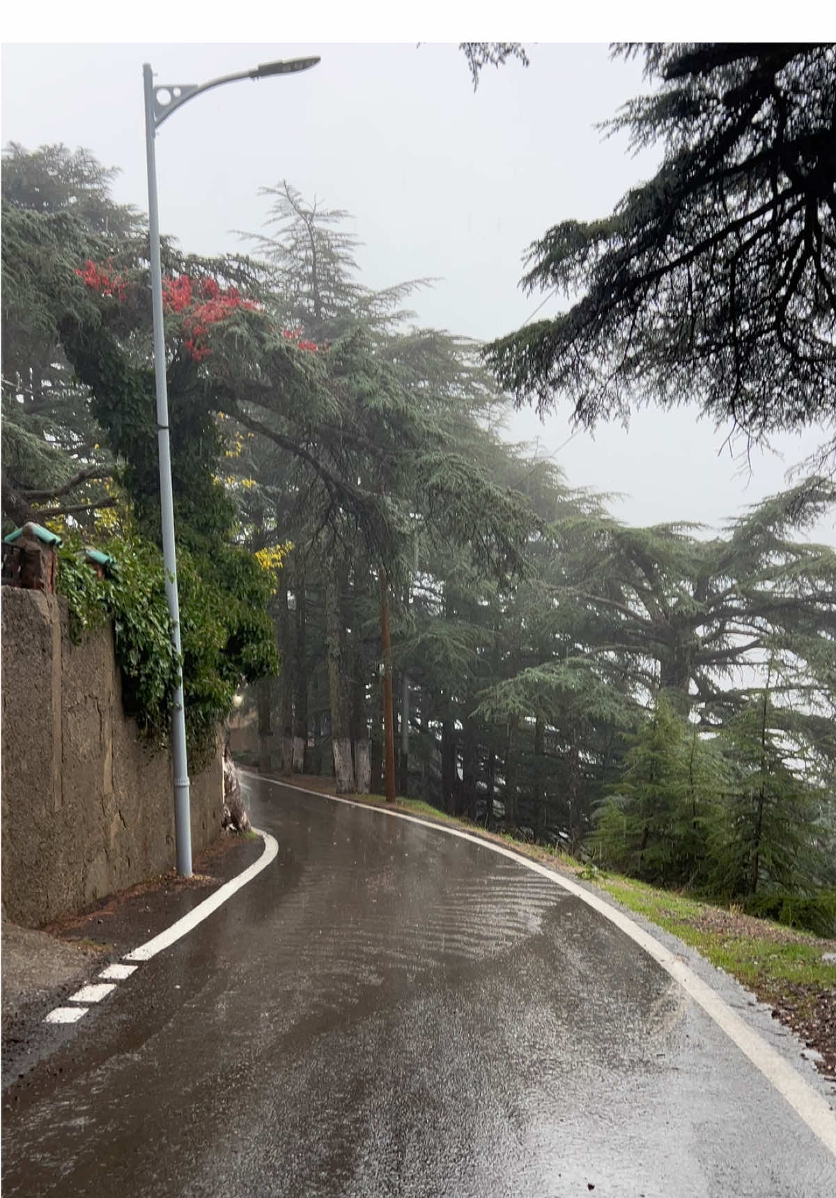 إن شاء الله عام خير ⛈️🙏🏻 #tik_tok #tiktokindia #pyyyyyyyyyyyyyyyyyyyyyyyyyyyyy #algeria #chrea 