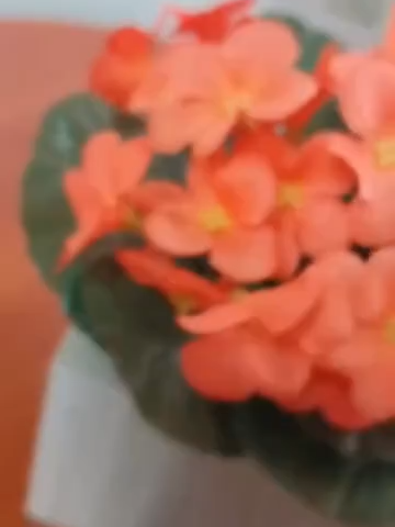 7mil Vendido(s) Kit 2 Cadeiras Alta Madeira Dobrável Balcão Bar Área Gourmet Envernizada/Natural *R$ 116,90* https://s.shopee.com.br/3AzsJXSfzh >>>>> 🛒🛍CLIK NO LINK #comprasonline #modinha #shopee #mercadolivremoda #marketingdigital 🛒Mercado livre & Shopee -🛍 instagran: @achadinhopromocupons  https://facebook.com/achadinhospromocupons http://www.tiktok.com/@achadinhos.promoo8 biolivre.com.br/achadinhopromocupons 🚚 Frete Gratis - Entrega Rápido