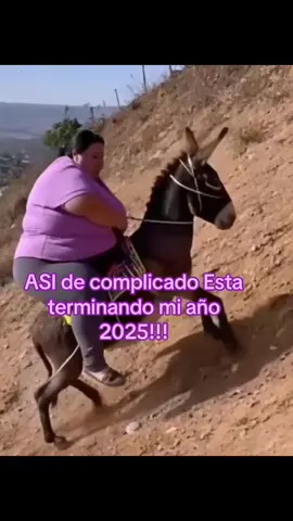 Asi de complicado y cansado terminal mi año!Humor!#laugh #humor #el_guanaco_69🛡️⚔️🦬 