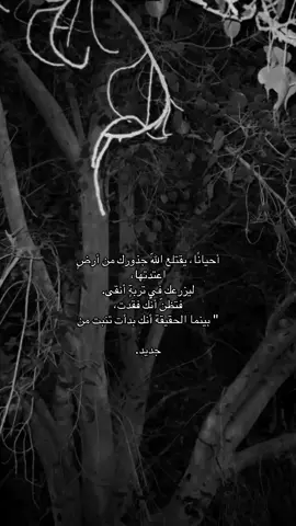 #طبرجل #ترند_جدید #الشرارات509 #explor #foryou 