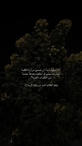 #طبرجل #ترند_جدید #الشرارات509 #explor #foryou 