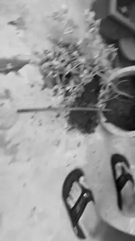 vai deixa saudades menor sorridente🖤🖤😭😭 #cearensedograu #cearense #viral #eterno #fyp 