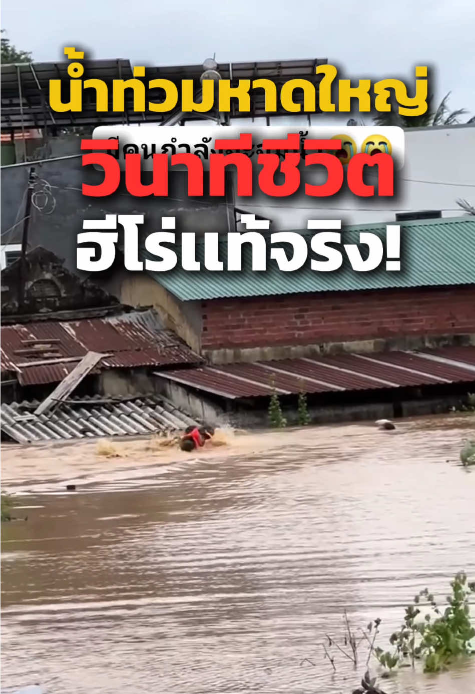 ทุกคนเก่งมากทั้งคนสู้ เเละ คนช่วย ส่งกำลใจให้ทุกคนครับ #น้ำท่วมหาดใหญ่  #หาดใหญ่  #viralreelsシ 