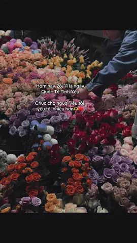 #_nqt_08th05 #ddnxuhuong 