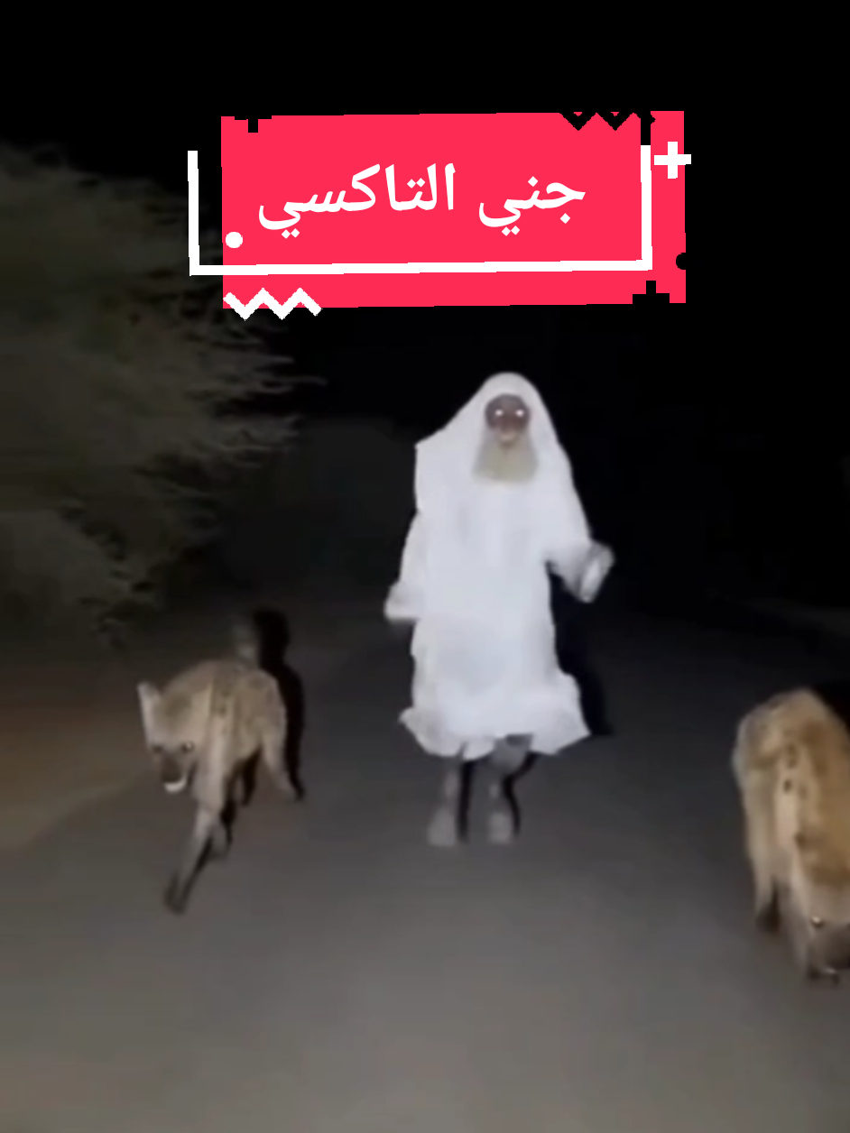 #جن #قصص_جن ##blackmagic #عمان🇴🇲_قطر🇶🇦_البحرين🇧🇭_الكويت🇸🇩 #الشعب_الصيني_ماله_حل😂😂 
