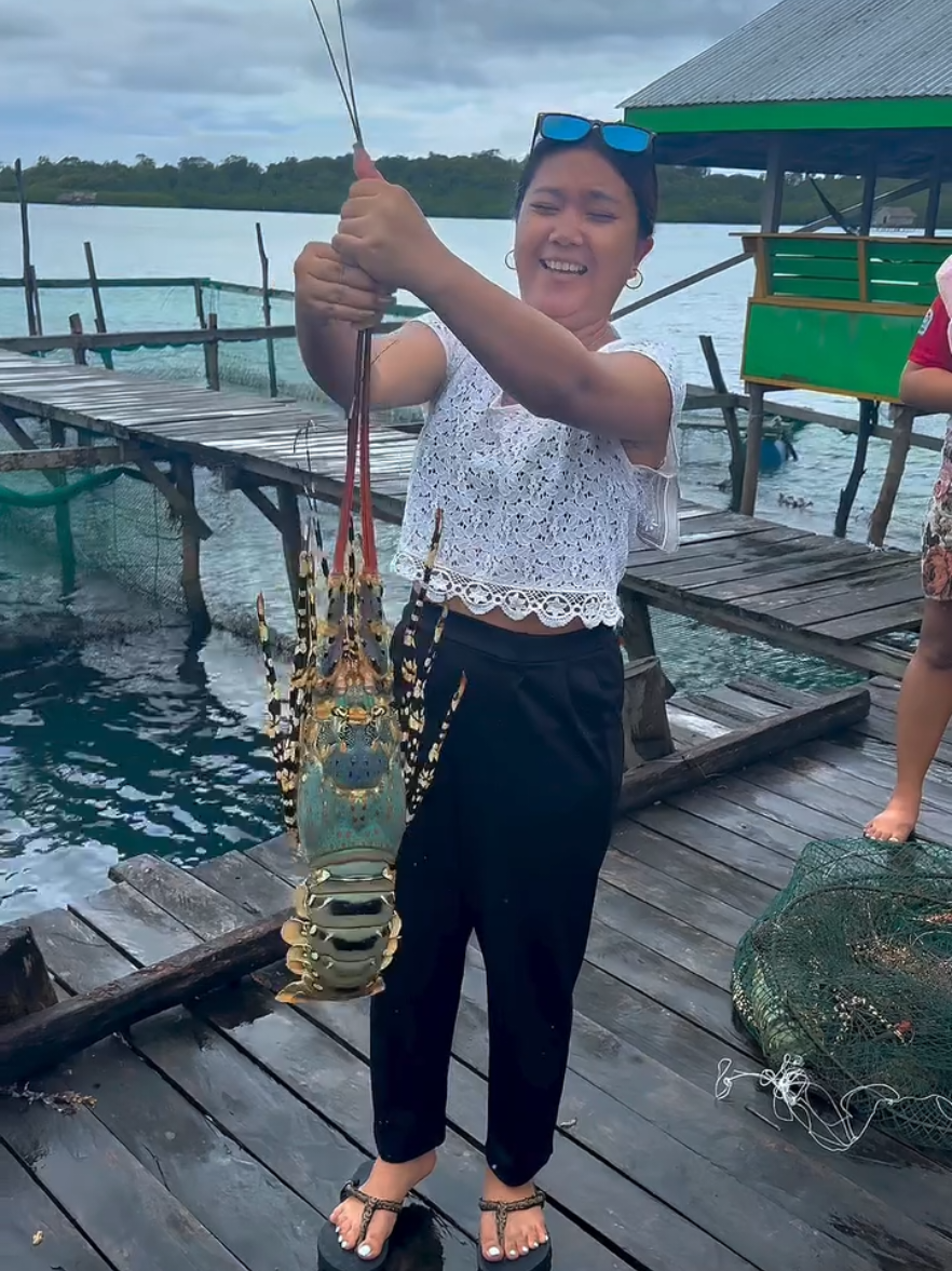 #fshing #اسماك_البحر #البحار 