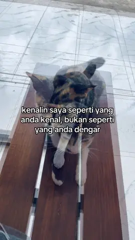 #night_storyy0 #storytime #fyppppppppppppppppppppppp 