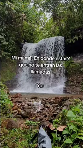 Tenemos una sorpresa para fin de año… pilosos 🤭🤭#turismoecuador #turismo #amazonia #amazoniaecuatoriana #selvaecuador🇪🇨