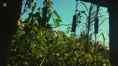 #eyeview#creatorsearchinsights