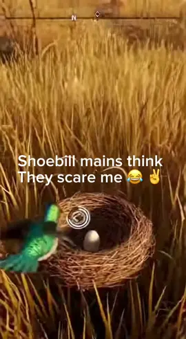 I’m just gonna fly away twin 😂 ✌️ #birdgame3 