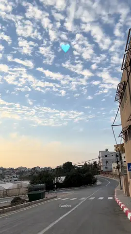 🩵🤍🤍🤍. #bardeesshahateet #مدينة_شهداء_دورا🦅 #ppu 