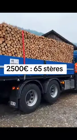 #france🇫🇷 #chauffage #bois #paris 